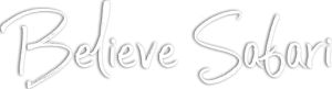 Believe Safari Logo