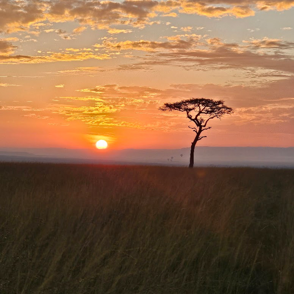 African Sunset