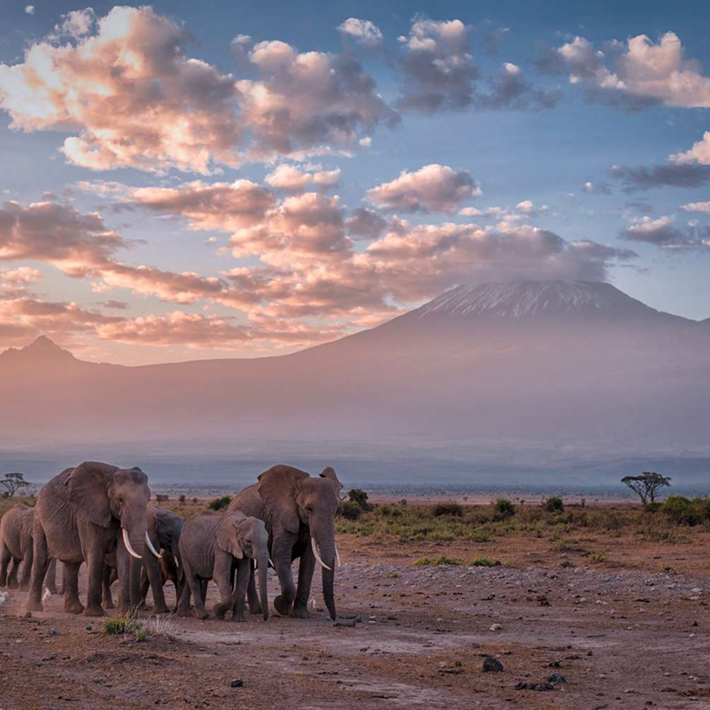 Kenya