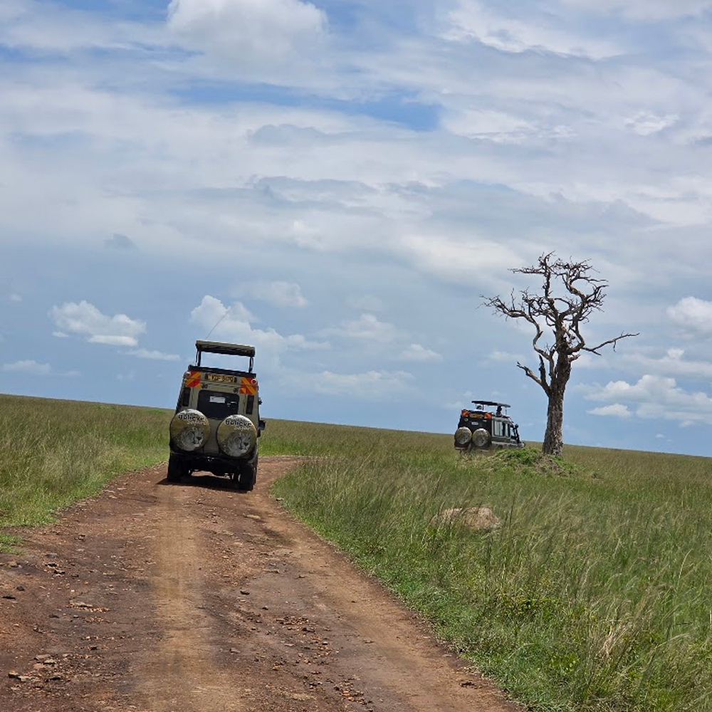 Safari Jeep