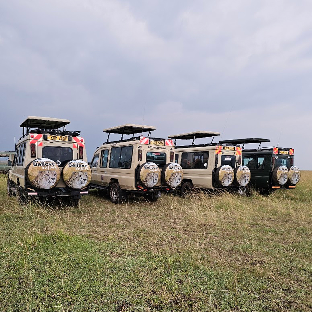 Safari Vehicles