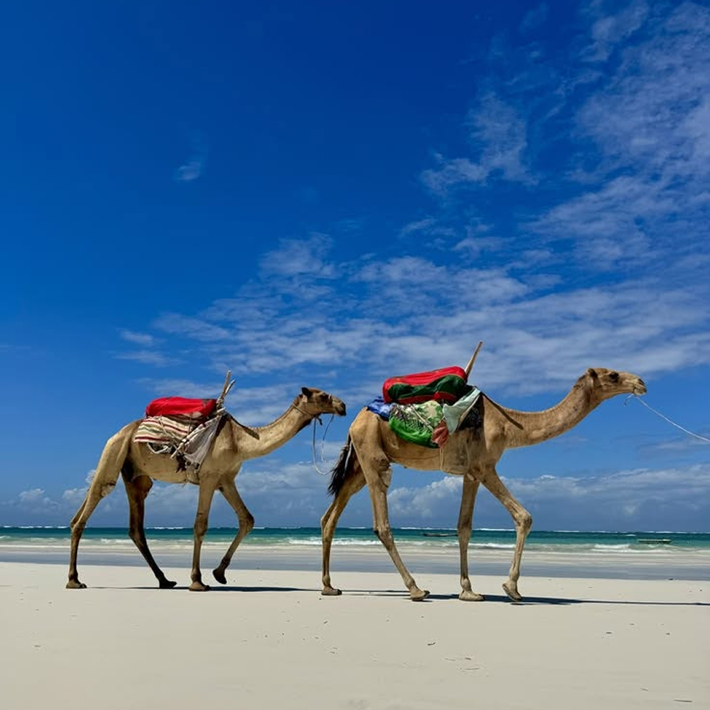 kenya coast