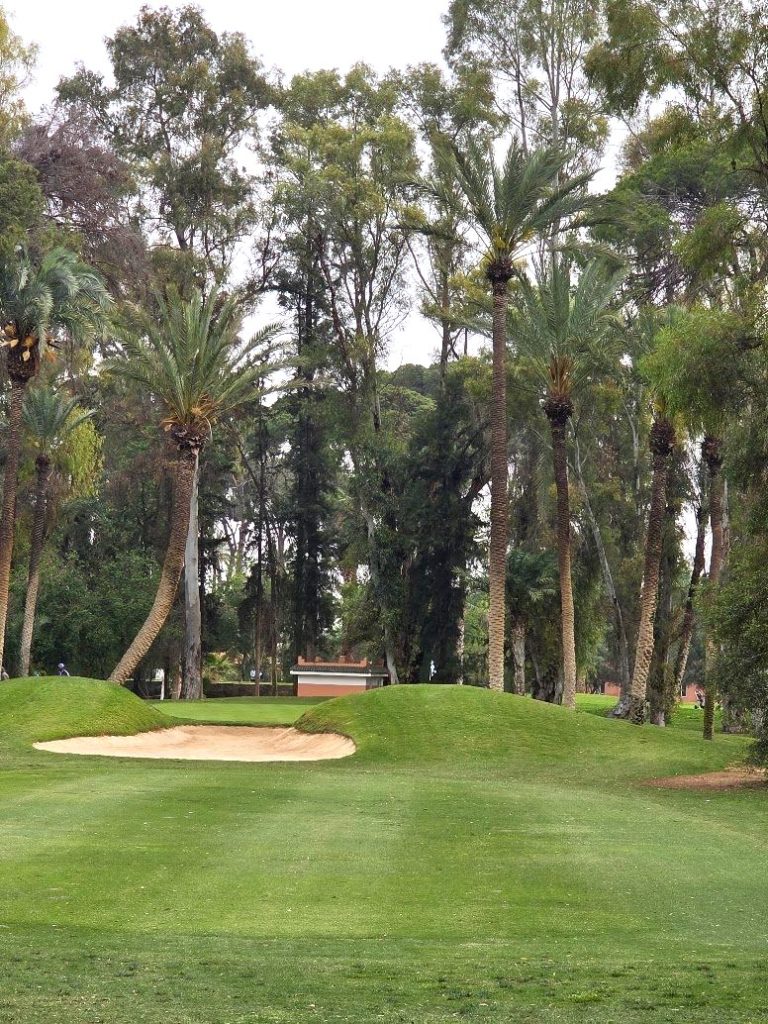 Medinas & Mulligans